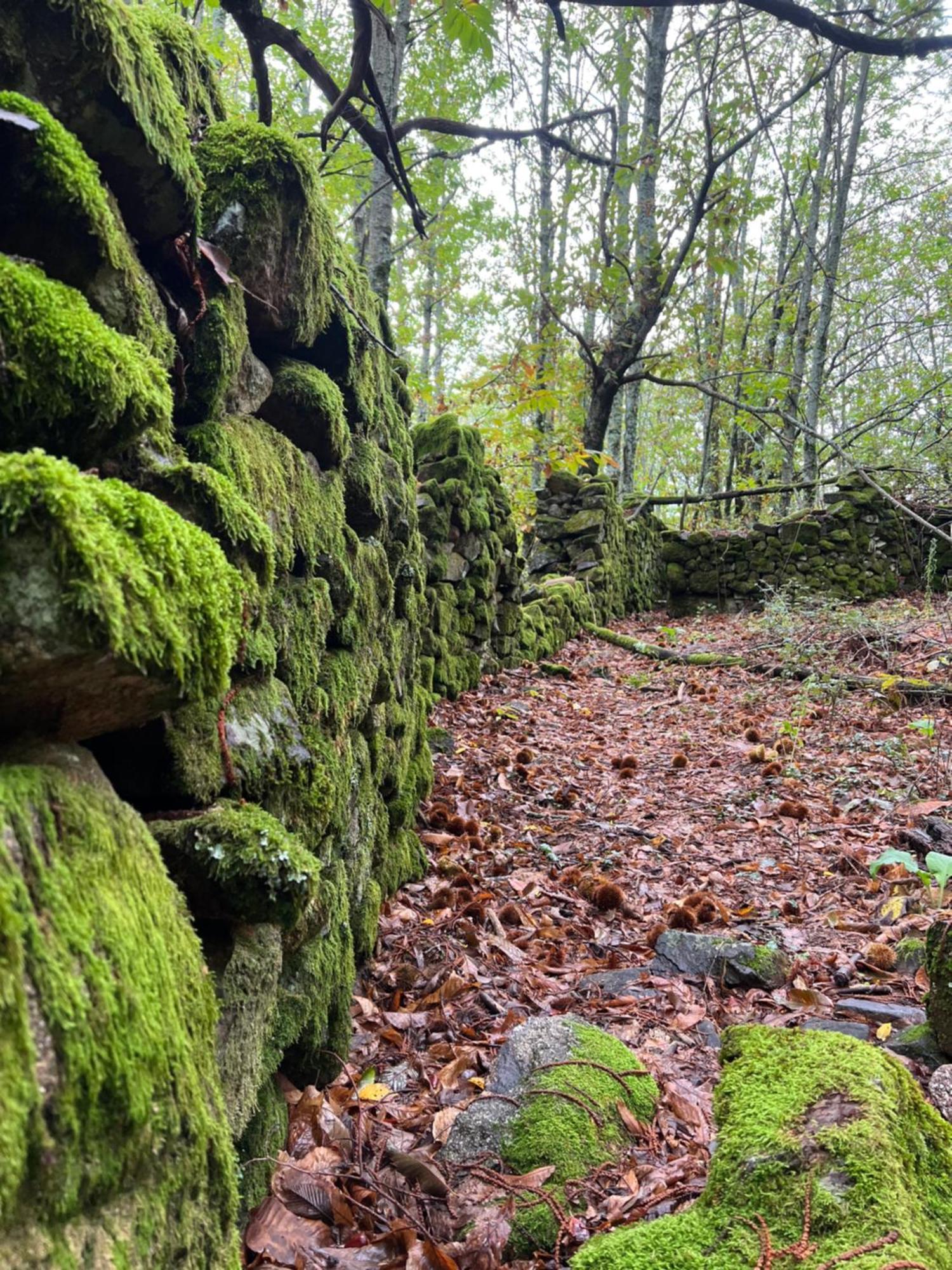 Willa Terracea Hoyos Zewnętrze zdjęcie